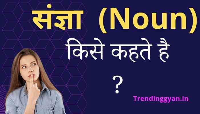 संज्ञा किसे कहते हैं | संज्ञा की परिभाषा, भेद एवं उदाहरण