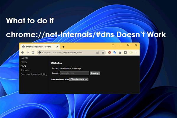chorme //net-internals/#dns: Deciphering the Fundamentals